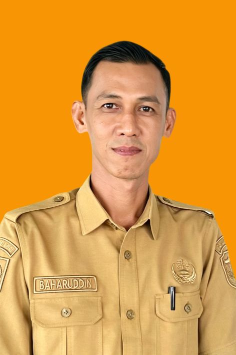 BAHARUDDIN