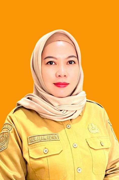 NUR ALAM ASNUR, S.Sos