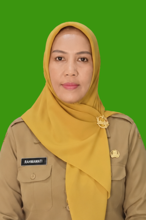 RAHMAWATI HAMID, S.KOM